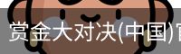 赏金大对决(中国)官方网站 - Wild Bounty